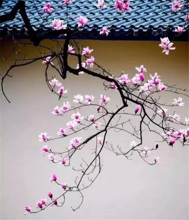 中國最美古建筑，古建筑攝影