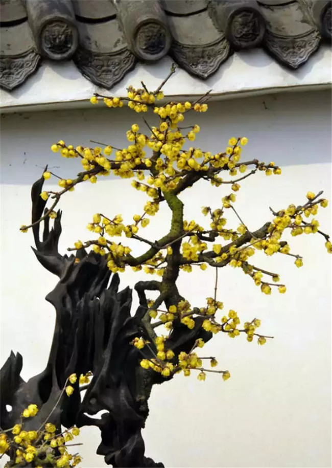 中國最美古建筑，古建筑攝影
