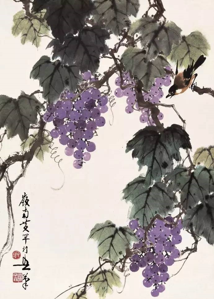 美人如葡萄，秀美如國畫！