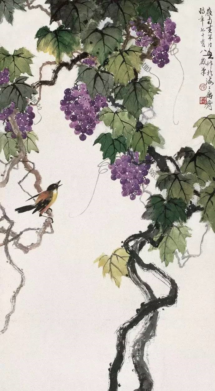 美人如葡萄，秀美如國畫！