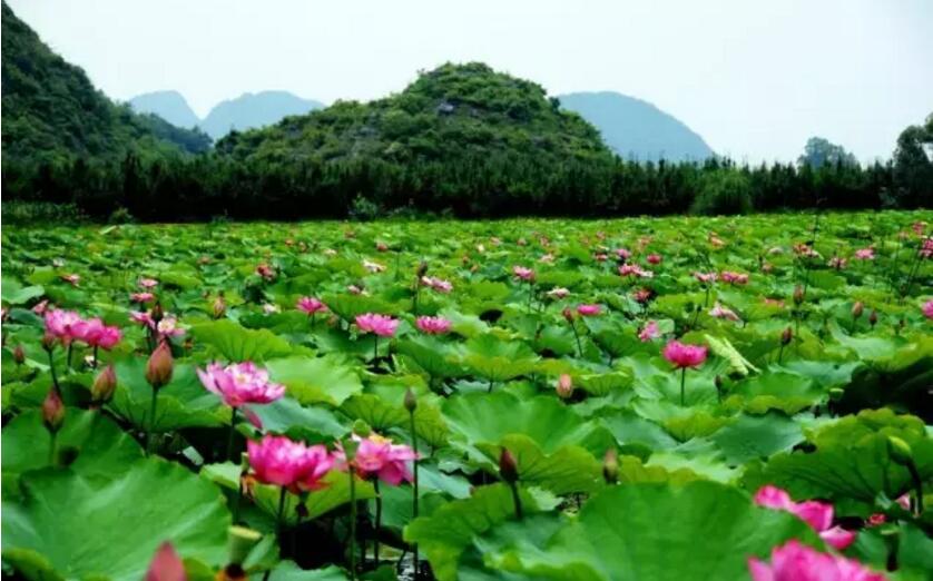 《三生三世十里桃花》的外景拍攝地！