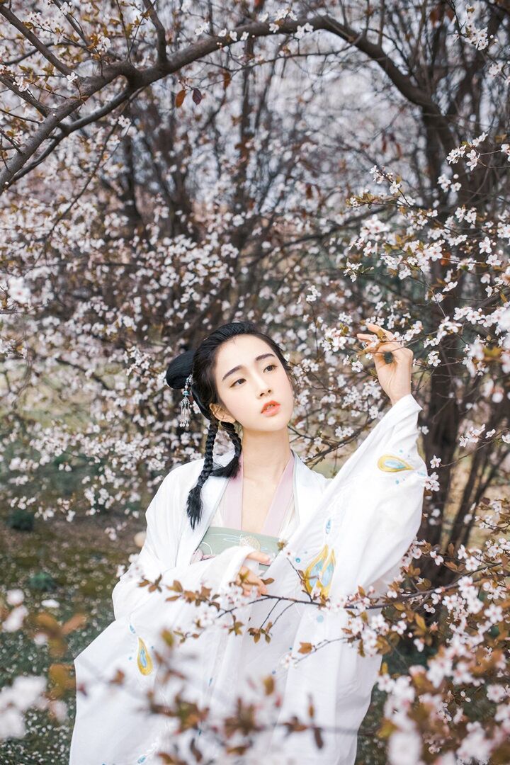 夢仙游櫻花樹下古風人像攝影