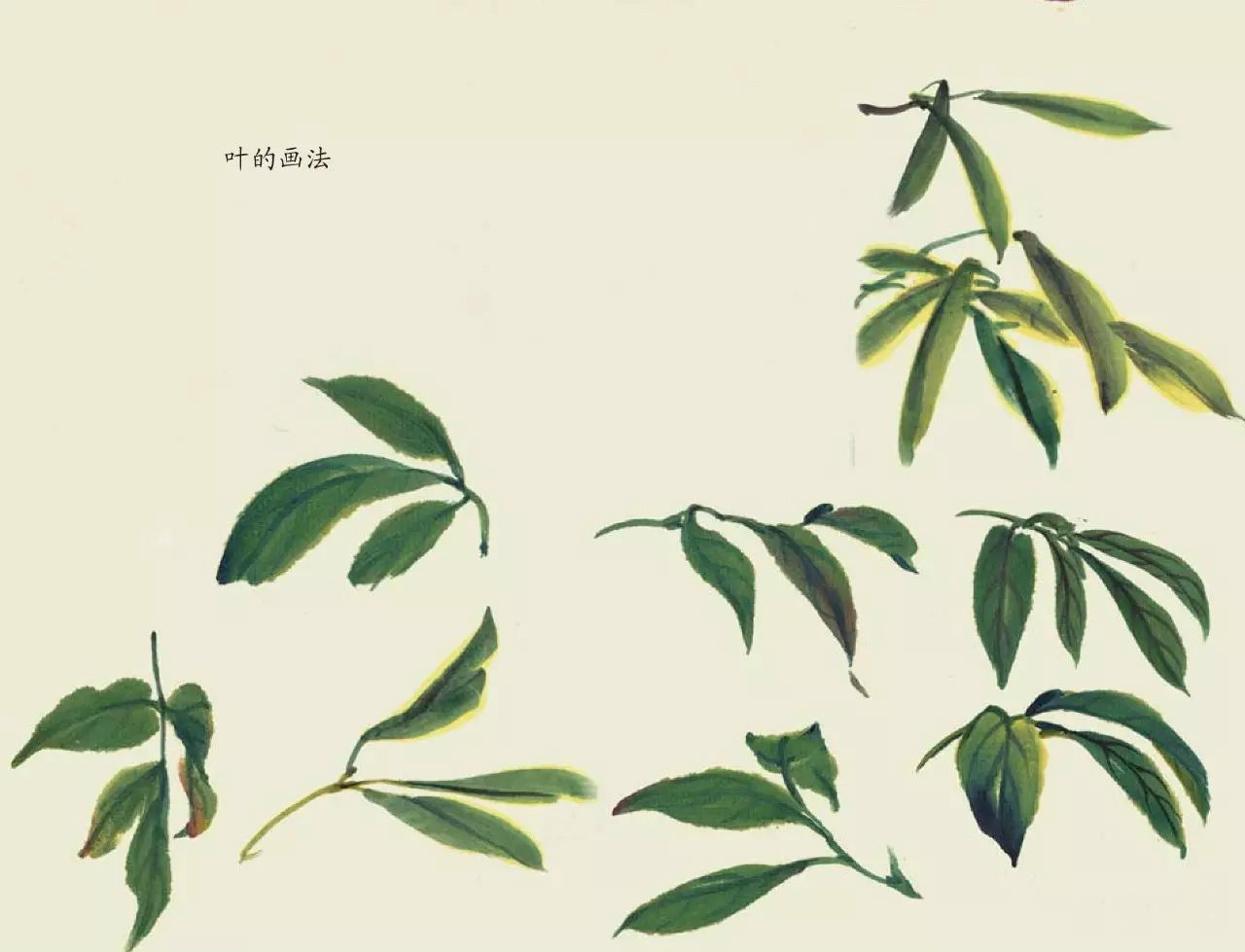 國畫技法：超詳細的國畫各種花卉畫法大全!
