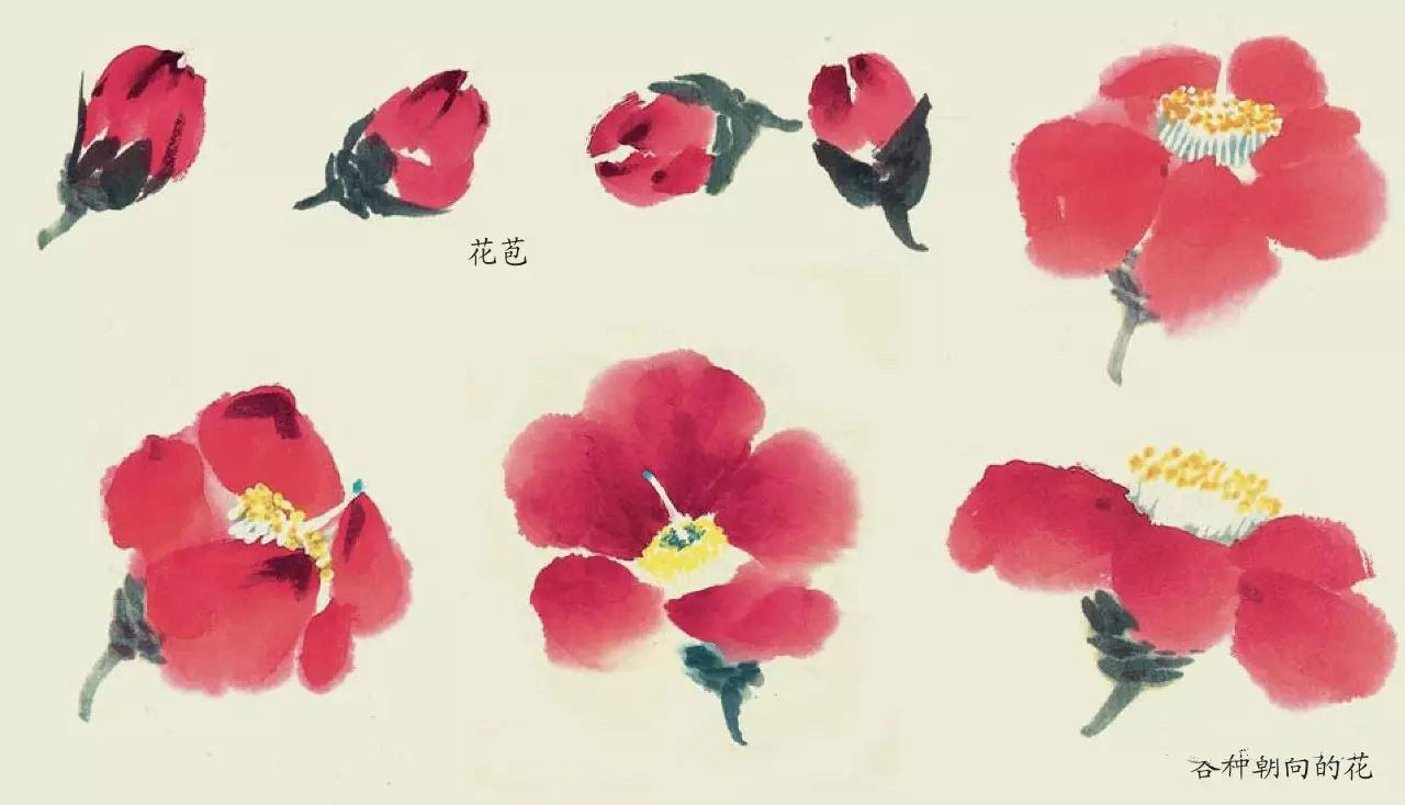 國畫技法：超詳細的國畫各種花卉畫法大全!