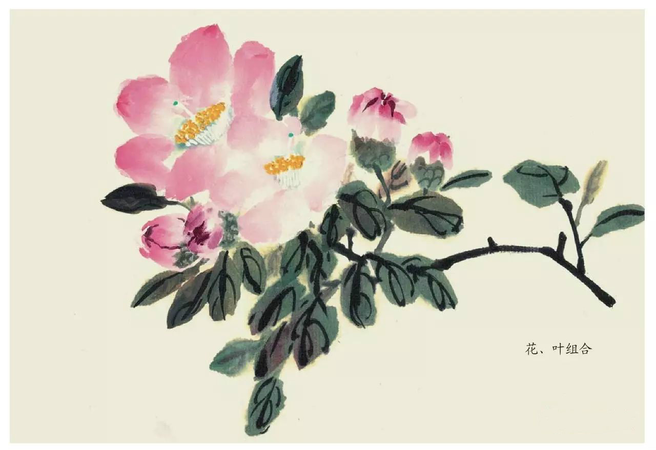 國畫技法：超詳細的國畫各種花卉畫法大全!
