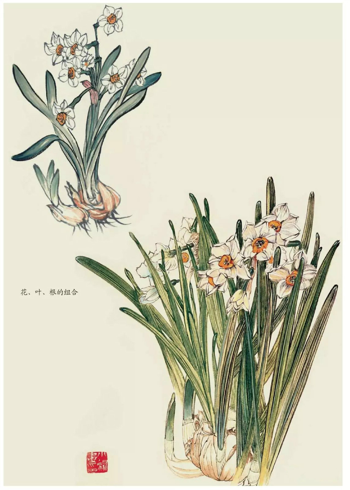 國(guó)畫(huà)技法：超詳細(xì)的國(guó)畫(huà)各種花卉畫(huà)法大全!