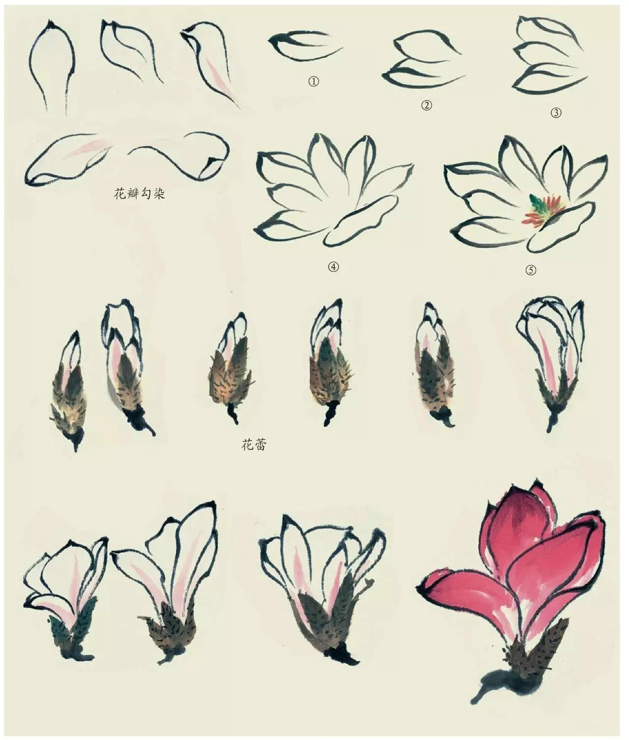 國(guó)畫(huà)技法：超詳細(xì)的國(guó)畫(huà)各種花卉畫(huà)法大全!