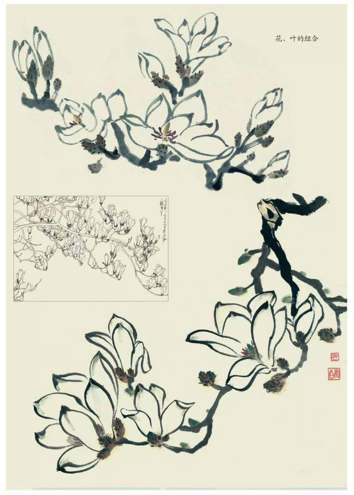 國(guó)畫(huà)技法：超詳細(xì)的國(guó)畫(huà)各種花卉畫(huà)法大全!