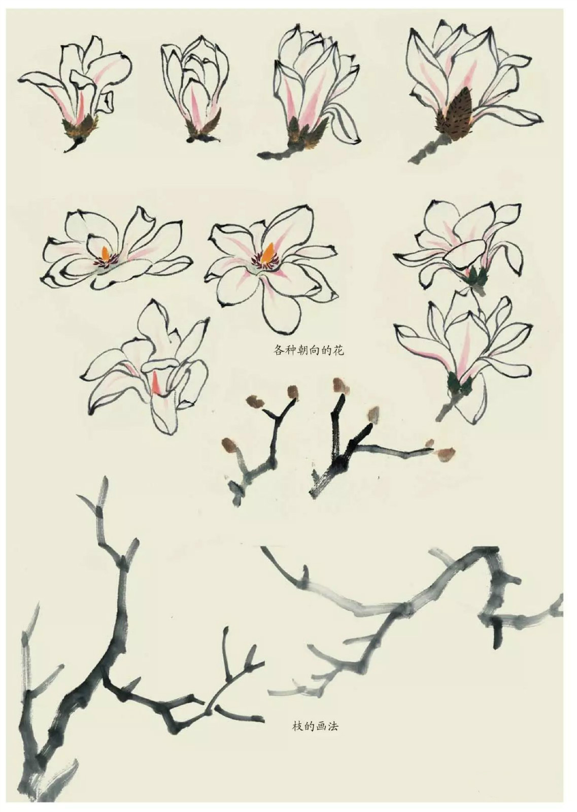 國(guó)畫(huà)技法：超詳細(xì)的國(guó)畫(huà)各種花卉畫(huà)法大全!
