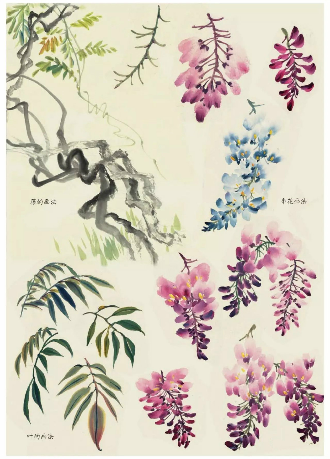 國畫技法：超詳細(xì)的國畫各種花卉畫法大全!