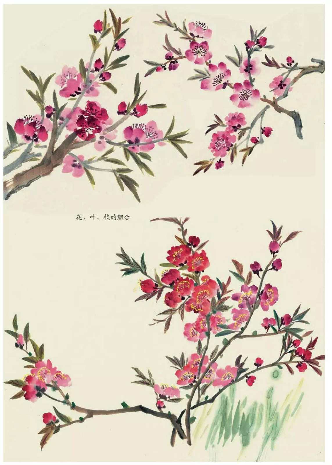 國畫技法：超詳細的國畫各種花卉畫法大全!