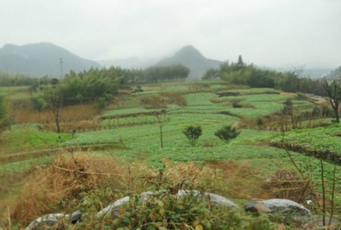 如何從表面判斷墓地的風水情況？看墓地風水的