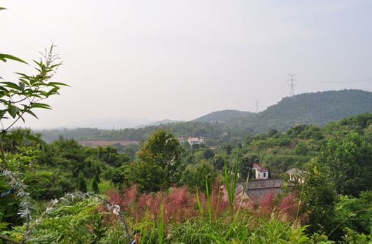 林彪祖墳風水好嗎?揭秘林彪祖墳風水