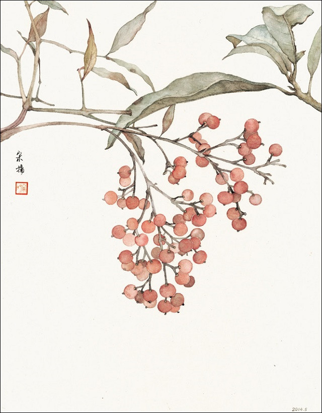 古典清雅宋揚(yáng)國畫植物家具工筆畫（二）