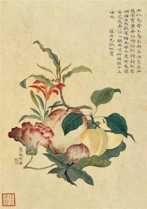 明清時代畫家陳明自繪畫的花卉動物