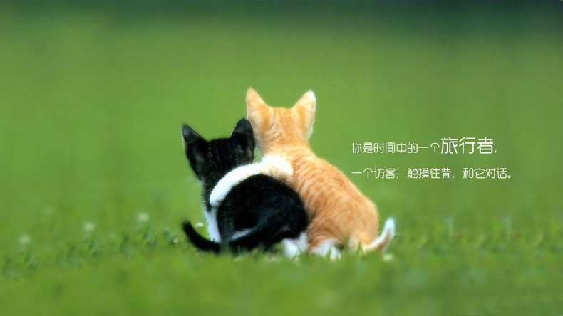 掌握這些風(fēng)水小妙招，讓你的愛情更加甜蜜