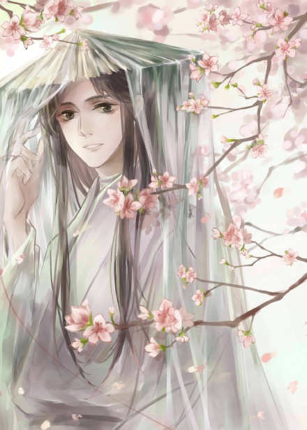 《天官賜福》古風圖集(23張），花城好帥呀！
