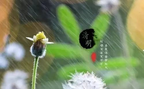 唯美古風句子：清明古詩38首!
