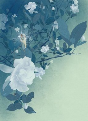 一組唯美古風圖片：一人一花一世界！