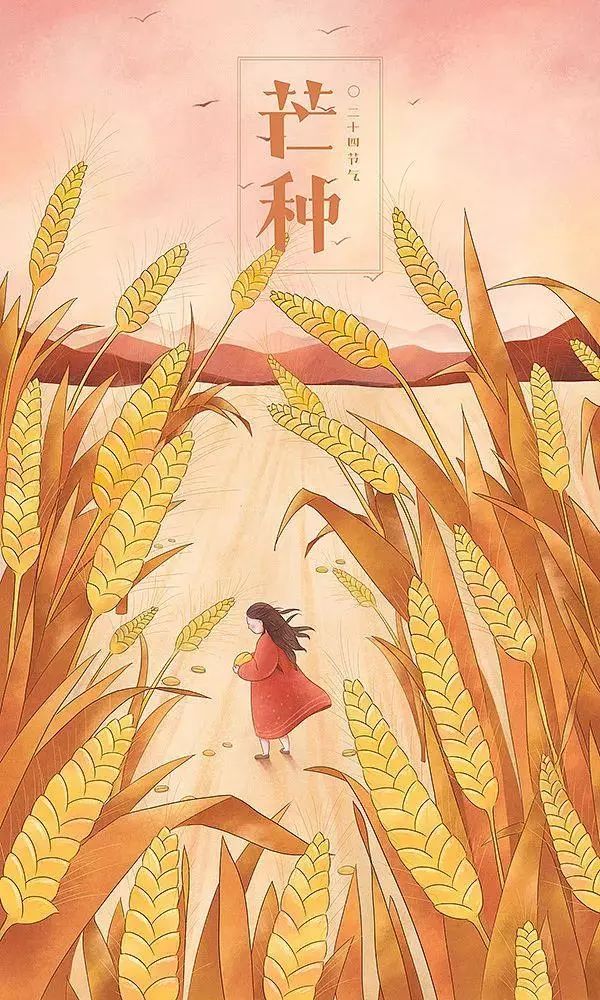 治愈系畫風插畫：一組二十四節氣插畫