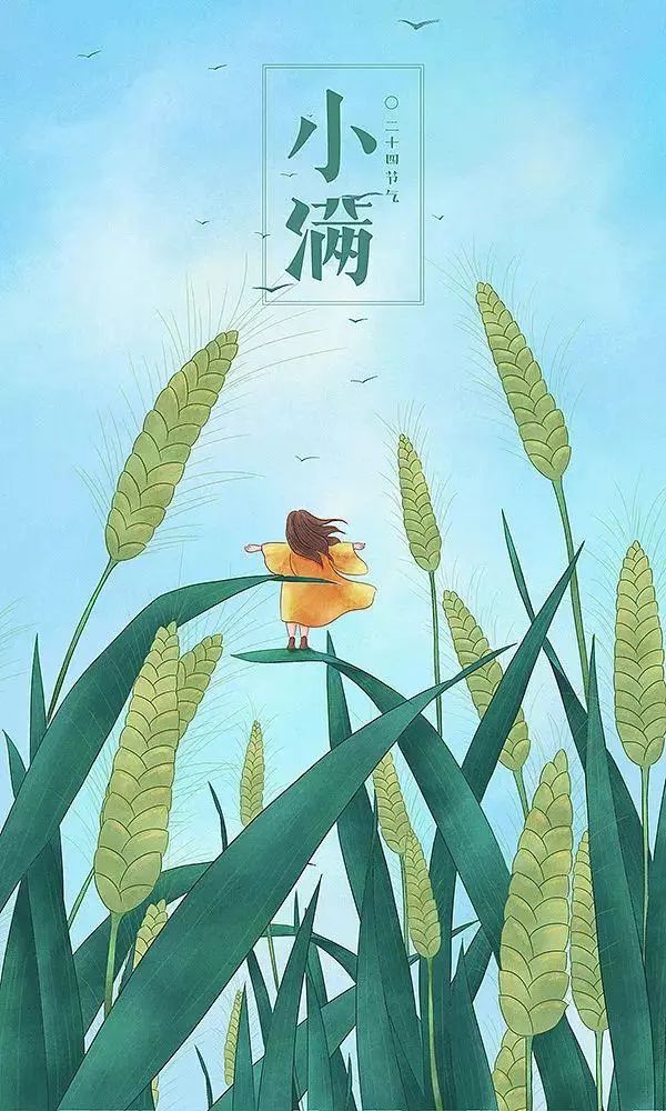 治愈系畫風插畫：一組二十四節氣插畫