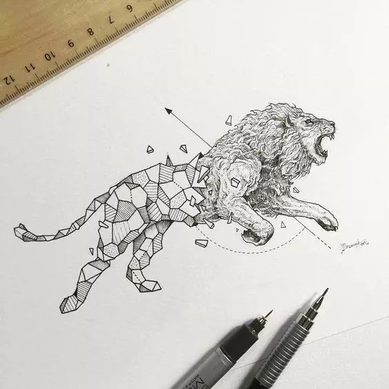 驚嘆的動物手繪插畫：學霸與藝術的完美融合