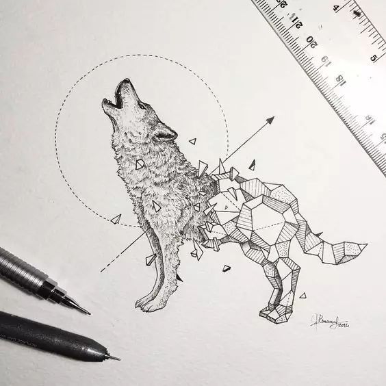 驚嘆的動物手繪插畫：學霸與藝術的完美融合
