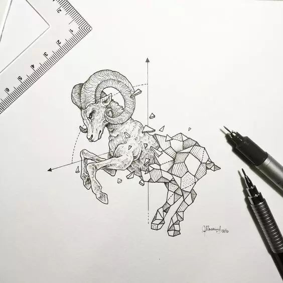 驚嘆的動物手繪插畫：學霸與藝術的完美融合