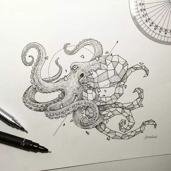 驚嘆的動物手繪插畫：學霸與藝術的完美融合