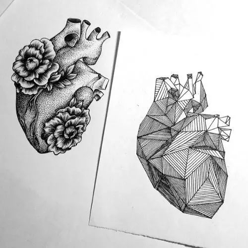 驚嘆的動物手繪插畫：學霸與藝術的完美融合
