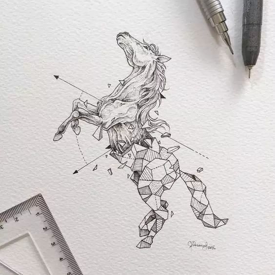 驚嘆的動物手繪插畫：學霸與藝術的完美融合