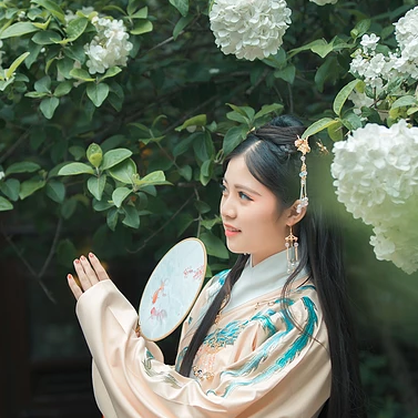 繡球花帶團扇女生頭像，唯美古風真人頭像