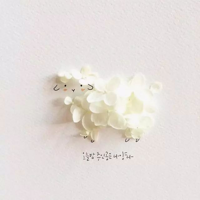 一組創意花瓣插畫，小清新唯美手繪插畫