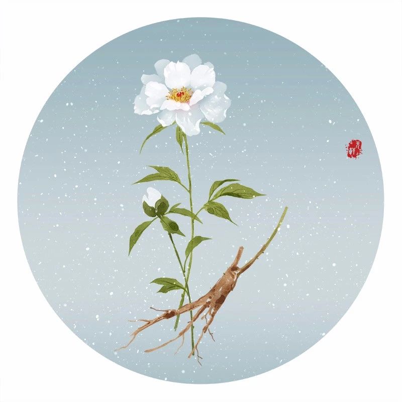 清新古風花卉插畫，清雅如詩的插畫圖片