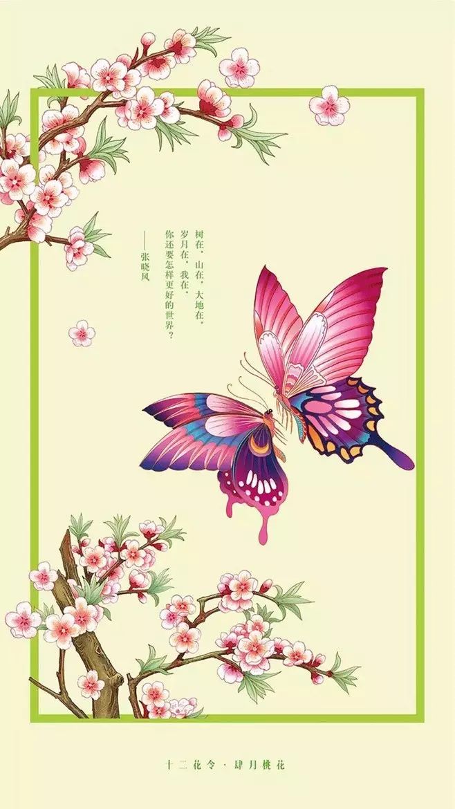 十二花令插畫圖片：以花為媒四季流轉