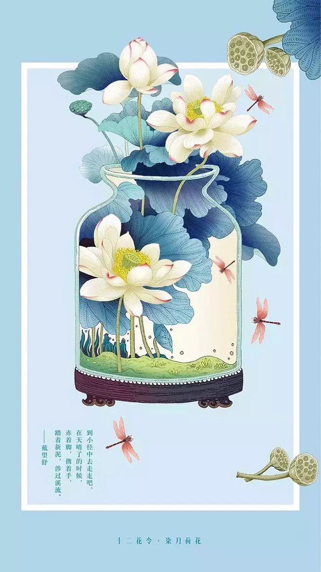 十二花令插畫圖片：以花為媒四季流轉