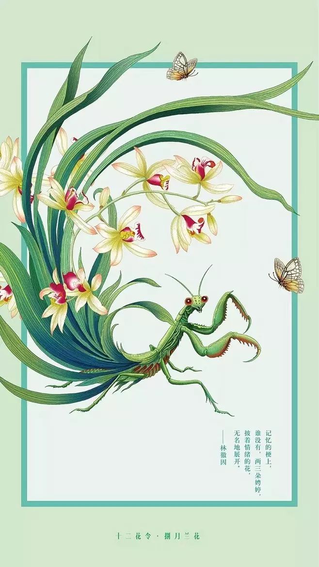 十二花令插畫圖片：以花為媒四季流轉