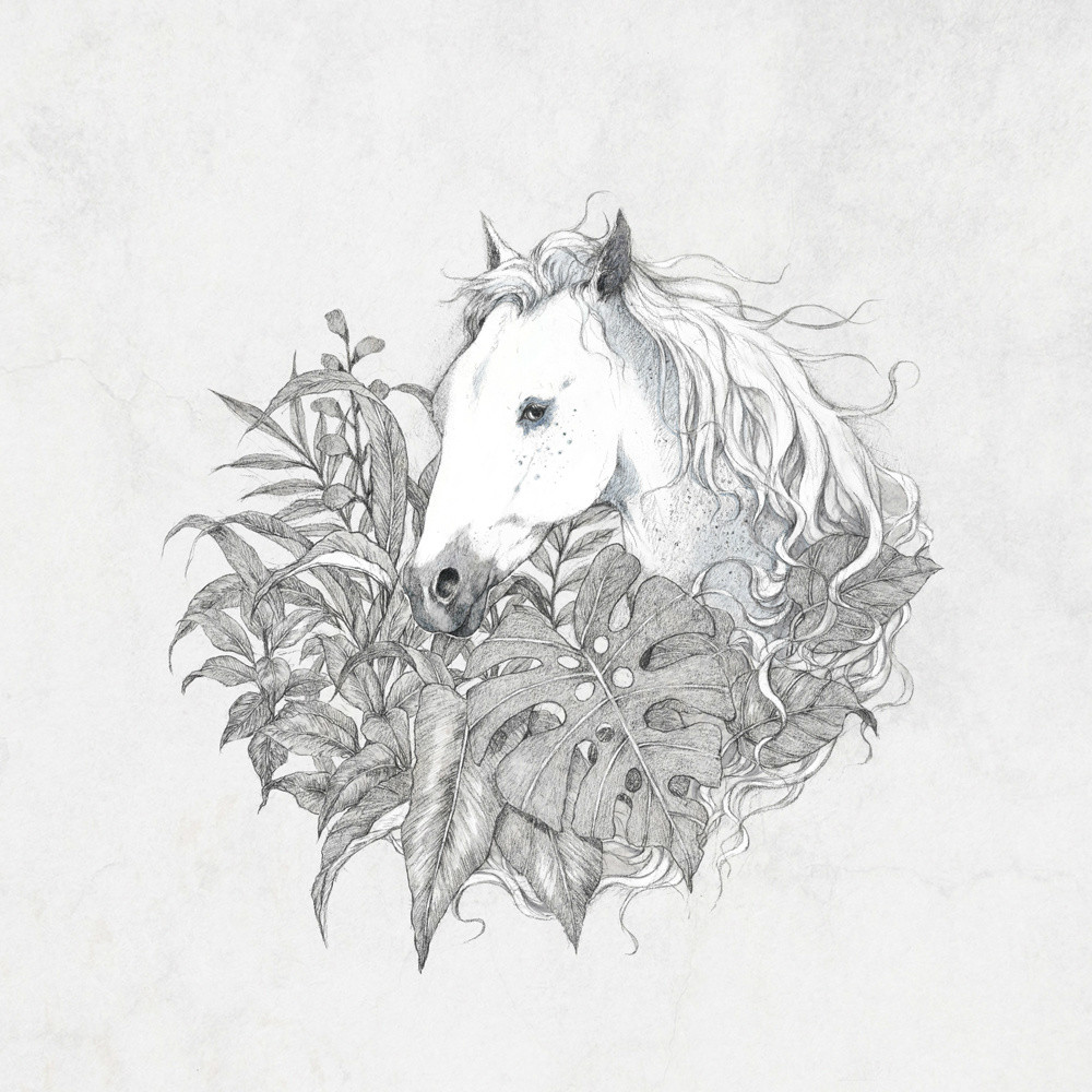 手繪動物插畫設計，黑白創意插畫圖片