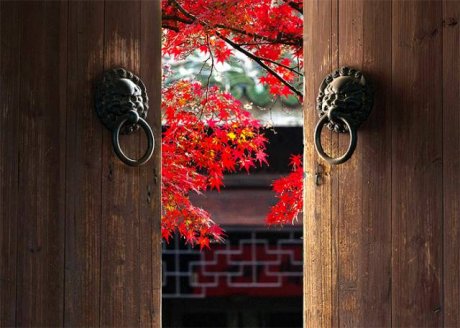 中國人在秋天的九種情調，唯美古風句子
