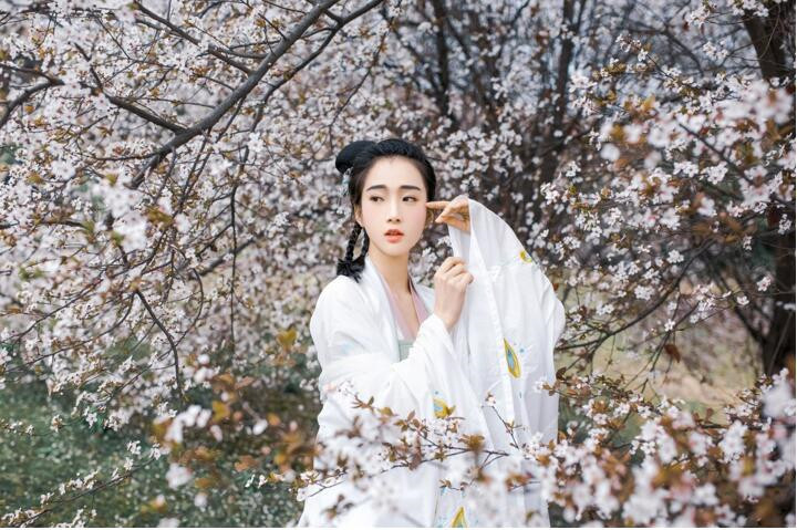 櫻花樹下古風女子頭像，真人古風頭像大全