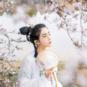 櫻花樹下古風女子頭像，真人古風頭像大全