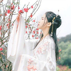 輕盈溫婉的古風(fēng)女子頭像，中國(guó)古典風(fēng)格qq頭像