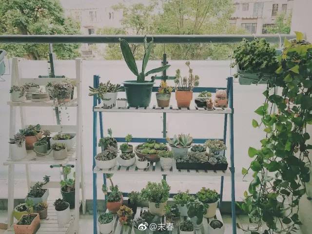 獨特中國美，最美插畫，膚如凝脂珠圓玉潤民國