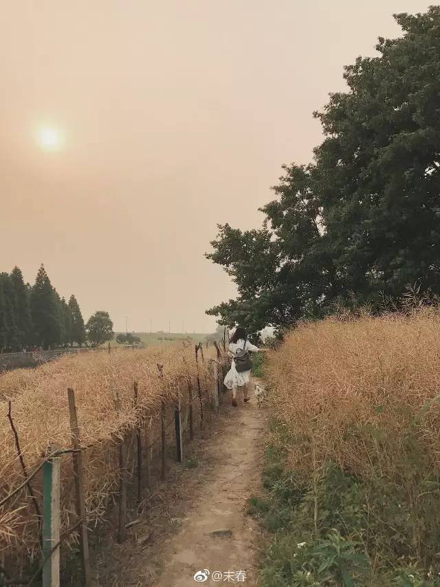 獨特中國美，最美插畫，膚如凝脂珠圓玉潤民國