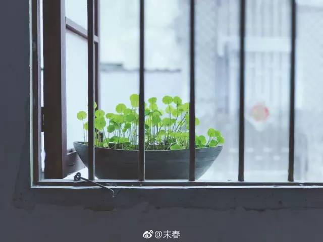 獨特中國美，最美插畫，膚如凝脂珠圓玉潤民國