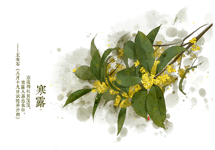 唯美的24節(jié)氣花卉插畫，品味古老的詩之清韻