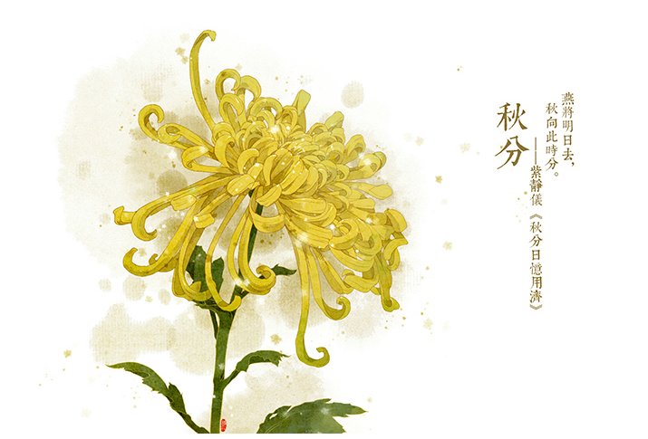 唯美的24節(jié)氣花卉插畫，品味古老的詩之清韻