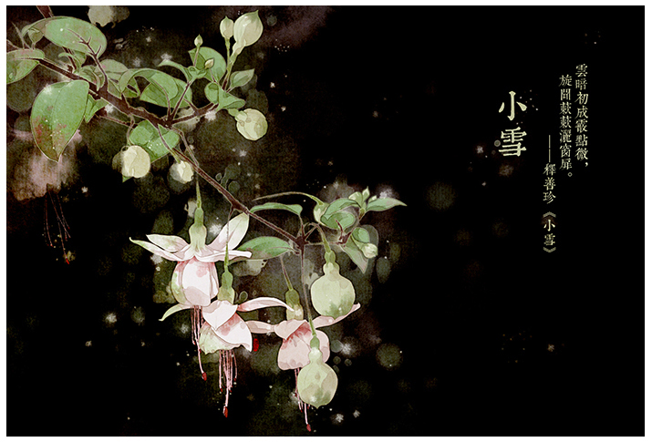 唯美的24節氣花卉插畫，品味古老的詩之清韻