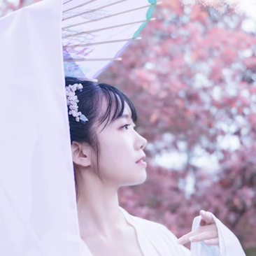 粉紫小清新帶團扇傘頭像，唯美古風真人頭像