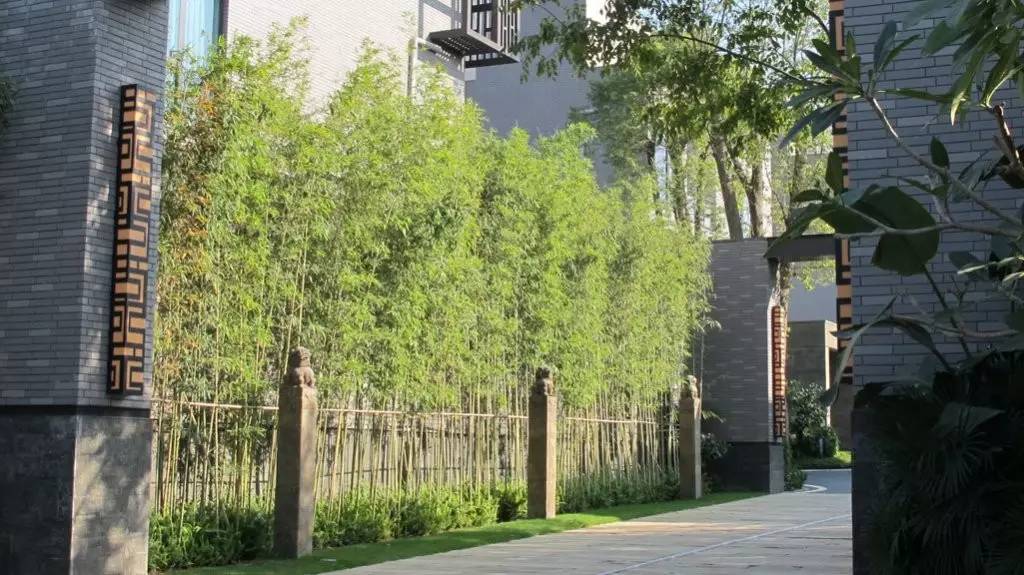 景觀設計：拴馬樁做的景觀